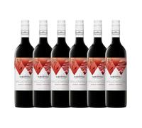 De Bortoli Willowglen Shiraz Cabernet South Eastern Australia. Box of 6 Bottles
