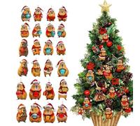 De Carpincho 2025 - Carpincho Advent Calendars, Acrylic Decoration 2D 24 , Christmas Countdown Calendar | For Home Christmas Tree Car Rearview Pare