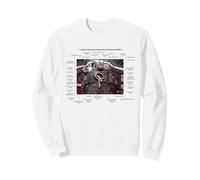 De Havilland Vampire FB MK.2 British Jet Fighter Old Cockpit Sweatshirt