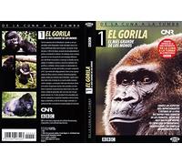 DE LA CUNA A LA TUMBA [DVD]