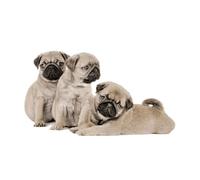 De Lavish 3D Animal Print Faux Fur Throws Blanket for Double Size Bed Chair Sofa Warm Fleece Large 3 Pugs King 200/240cm Polyester