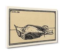 Dead Bird By Julie De Graag Canvas Print | Gallery Wrapped 30mm Frame Wall Art | 30x20 inches | Ready to Hang | Contemporary Animals Picture | Living Room Bedroom Lounge Office