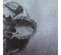 Dead Ends by Cranial (2015-11-27)