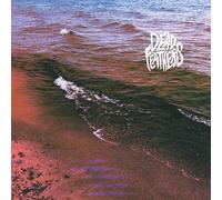 Dead Feathers : Full Circle CD (2023) NEW FREE Shipping, Save £s