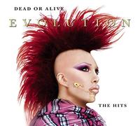 Dead Or Alive - Evolution: the Hits