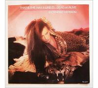 Dead Or Alive - Thats The Way I Like It