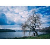 Dead Paper by the lake under blue sky - 1000 piece Paper puzzle - thick, sturdy blocks for a challenging family activity50x70cm