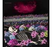 Dead Rabbitts – Redefined – CD (The Orchard)