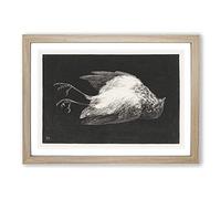 Dead Robin by Theo Van Hoytema Framed Print | A2 Oak Framed Wall Art | Ready to Hang | Modern Animal Picture | Living Room Bedroom Lounge Office
