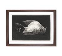 Dead Robin by Theo Van Hoytema Framed Print | A2 Walnut Framed Wall Art | Ready to Hang | Modern Animal Picture | Living Room Bedroom Lounge Office