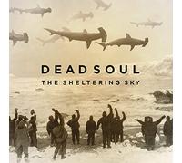 The Sheltering Sky [VINYL]