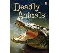 Deadly Animals (Beginners Plus): 1