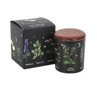 Deadly Nightshade Candle | Gothic Botanica | 28-Hour Burn Time