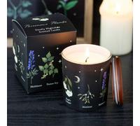 Deadly Nightshade Scented Candle - Gothic Poison Plant Gift
