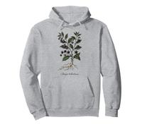 Deadly Nightshade Vintage Botanical Illustration Pullover Hoodie