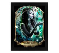 Deadly Tarot Framed Obsidian Temperance Mirrored Tin Sign Black 34x45cm