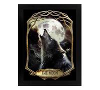 Deadly Tarot Framed Obsidian The Moon Mirrored Tin Sign Black