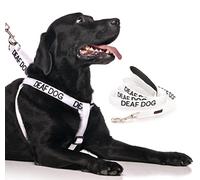 DEAF DOG (Dog Has Limited/No Hearing) White Colour Coded Non-Pull Dog Harness and 60cm 1.2m 1.8m Luxury Neoprene Padded Handle Lead Sets PREVENTS Accidents By Warning Others Of Your Dog In Advance (Harness & 1.8m)