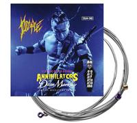 Dean Markley Electric Guitar Strings Artist Series Doyle, 2504 Nickel-Steel Signature 6 String Set, 10-60 Light Heavy Bottom, Soft Electric Guitar Strings For An Outstanding Response & Stellar Tone