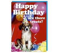 Dean Morris Cards Happy Birthday Are There Treats Funny Birthday Card - Funny Birthday Card From The Dog - Dog Greeting Cards - Humour