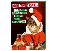 See This Cat. It Doesn't Give A F*** About Your Card