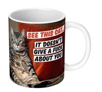 Dean Morris Cards See This Cat. It Doesn't Give a F*** About You Mug