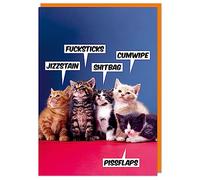 Dean Morris Cards Swearing cats - Funny Rude Birthday Card - Birthday Card For Cat Owner - Rude Humour