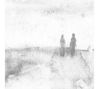 Dear And Unfamiliar - Birds Of Passage-Leonardo Rosa [VINYL]