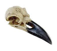 Dear Deceased Corvus Alchemia Skull of the First Raven God of Prophesy Statue by Alchemy Gothic