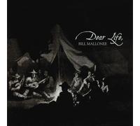 Dear Life by Bill Mallonee (2004-09-21)