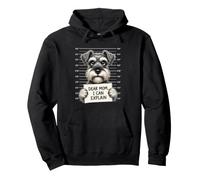 Dear Mom, I Can Explain - Schnauzer Lover Schnauzer Owner Pullover Hoodie