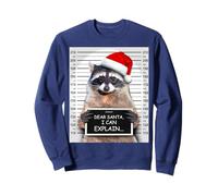 Dear Santa I Can Explain Funny Christmas Raccoon Sweatshirt