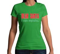 Dear Santa I Can Explain Funny Father Christmas Slogan T-Shirt - Sizes for Men Women and Kids