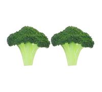 DEARMAMY 2pcs Realistic Freckle with Precision Applicator and Blending Brush Natural-looking Sunkissed Face Makeup Tool Beginner Friendly Fake Broccoli Design for Festival and