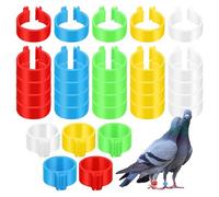 DEARMAMY 30Pcs Colored Chicken Leg Rings Poultry Identification Bands with Clip-On Foot Rings for Hens Ducks Birds Farm Supplies 1.6Cm Diameter, Multi-Color Set for Poultry and Pigeon