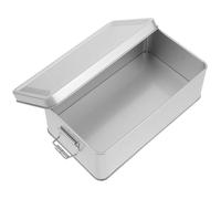 DEARMAMY Creative Rectangle Iron Cookie Tins with Lids for Giving Small Candies and Sweets Packaging and Storing, Silver Decorative Box for Christmas and Spring Wrapping