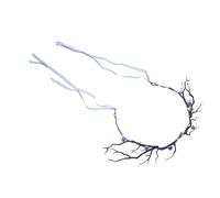 DEARMAMY Floral Antler Headband Deer Horn Crown Cosplay Fairy Costume Accessory with Simulation Branches and Heart Flower Wreath for Women and Autumn Festival