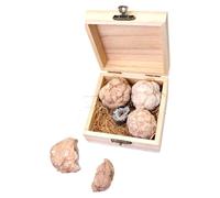 DEARMAMY Gemstone Excavation Kit for Kids and Adults, Safe Rock Collection Mining Set with Unique Crystals, Educational Geology Toy for Exploration and Gem Preservation, 4-Piece Original Mineral Box
