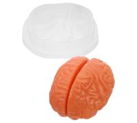 DEARMAMY Human Brain Anatomy Model Interactive Teaching Tool with Detachable 3-part Structure and Cross Section Display, Pvc Material for Science Labs and Psychology Research for Biology