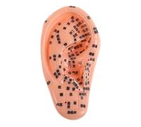DEARMAMY Human Ear Acupuncture Model with Acupoints Soft Silicone Ear Anatomy for Teaching and Massage Practice for Traditional Chinese Medicine and Acupressure Techniques