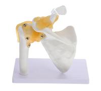 DEARMAMY Human Shoulder Joint Model with Ligament, Anatomical Bone Skeleton Teaching Model for Shoulder Anatomy Study and Medical Education