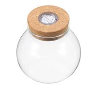 DEARMAMY LED Fish Tank Micro Landscape Bottle with White LED Light, Borosilicate Glass DIY Terrarium Plant Holder for Home Gardening and Ecological Decor