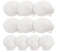 DEARMAMY Natural White Scallop Shell Decoration Set 2.8 Inch Large Seashells for Diy Crafts Home Decor Vase Filler and Candle Making Supplies