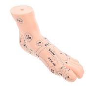 DEARMAMY Single Foot Acupoint Model Foot Massage Teaching Tool for Acupuncture Therapy for Students and Professionals Easy to Use