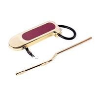 DeArmond Rhythm Chief Mounting Bar w/Screws - Gold