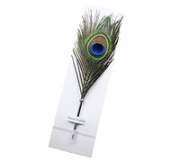 Deashun Peacock Feather Ballpoint Pens Black Ink Natural Feather Quill Ballpoint Pen for School Writing, Signatures,Birthday Wedding Gift Pen
