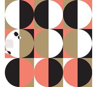 Death Comet Crew - Ghost Among the Crew [VINYL]