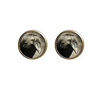 Death Devil Art Picture Cuff Links，Gift of Love，Raven Cuff Links