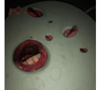 Death Grips - Year Of The Snitch [VINYL]