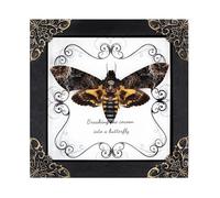 Death Head Moth Acherontia Framed Decoration,Handmade Wood Shadow Box Insect Decoration for Butterfly Collectors - Tabletop, Wall Art, Home Decor, Living Room